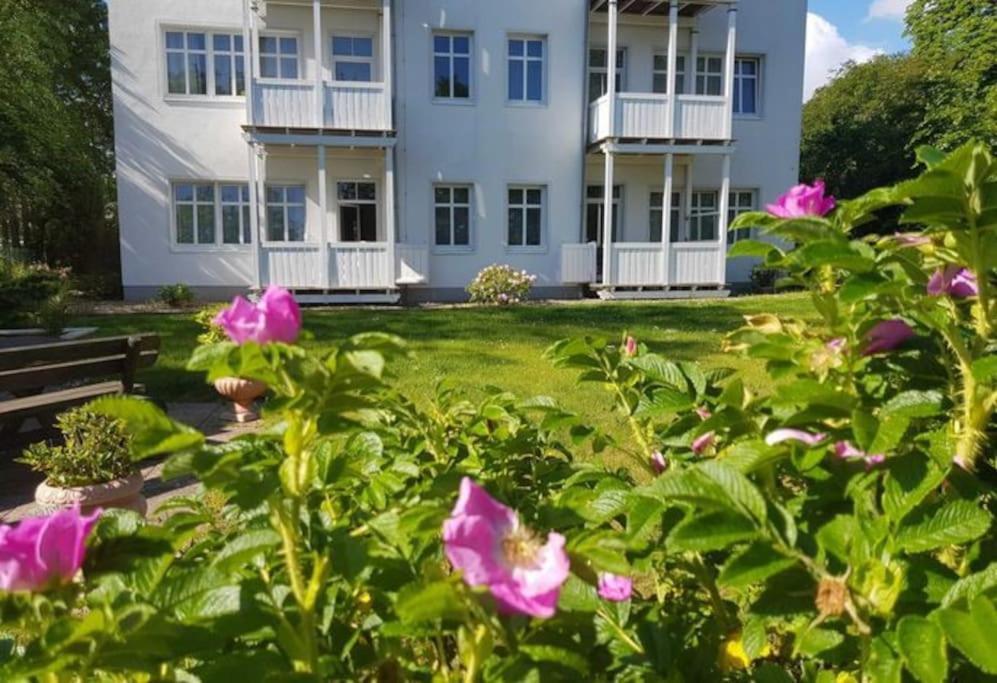 Studio 9, Residenz Seeblick Зеллин Экстерьер фото